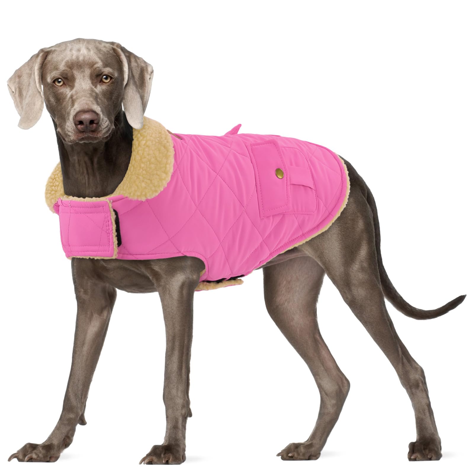 Large Dog Coat - Warm & Windproof Winter Jacket for Extra-Large Dogs - Pink, Golden Retriever to Husky Sizes Image