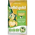 Solid Gold Dry Dog Food for Adult & Senior Dogs - Made with Oatmeal, Pearled Barley, and Fish Meal - Holistique Blendz Potato Free High Fiber Dog Food for Sensitive Stomach & Immune Support -24 LB