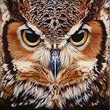 Adarl 5D DIY Full Diamond Painting Rhinestone Pictures of Crystals Embroidery Kits Arts, Crafts & Sewing Cross Stitch (Owl)