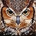 Adarl 5D DIY Full Diamond Painting Rhinestone Pictures Of Crystals Embroidery Kits Arts, Crafts & Sewing Cross Stitch (Owl)