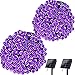 LYHOPE Solar Outdoor String Lights, 2 Pack Total 71ft 120 LED Crystal Ball Waterproof Solar Powered Globe Lights for Garden Patio Bistro Cafe Gazebo Holiday Party Outdoor Decorations （Purple