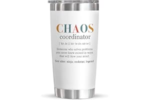 TEEZWONDER Coworker Gifts For Women, Gifts for Boss, Assistant, Teacher, Funny Appreciation, Inspiration Work Gifts For Coworkers, Christmas, Birthday, Retire, Thank you Gift 20 Oz Stainless Steel Tumbler