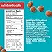 Enjoy Life Soft Baked Mini Cookies, Soy free, Nut free, Gluten free, Dairy free, Non GMO, Vegan, Snickerdoodle, 1 Ounce Packs (Pack of 36)