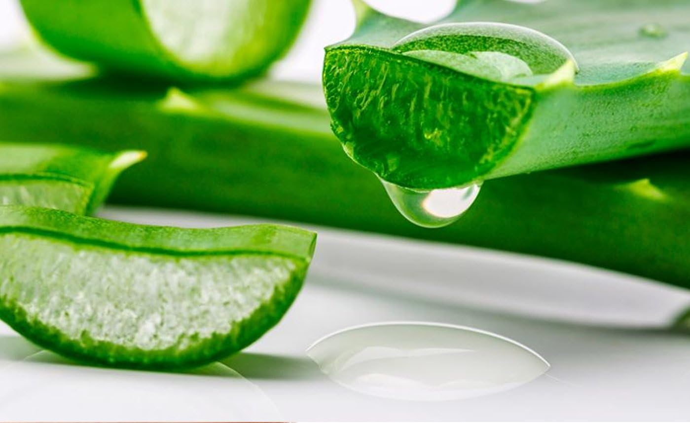 BIO Fresh Aloe Vera Liquid Concentrate directly from the Organically Grown Plant. 100% Natural & Purp. Cold Pressed. Cosmetic Preparation - Image 4