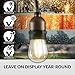 Newhouse Lighting Outdoor String Lights with Hanging Sockets | Weatherproof Technology | LED | Heavy Duty 25-foot Cord | 9 LED Filament Lights Bulbs Included (1 Free Replacement!)