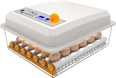 Amazon Co Jp 七面鳥のアヒルのガチョウのウズラの卵を孵化させるための卵インキュベーター 自動回転付きデジタル自動孵化器 16 Pieces ホーム キッチン