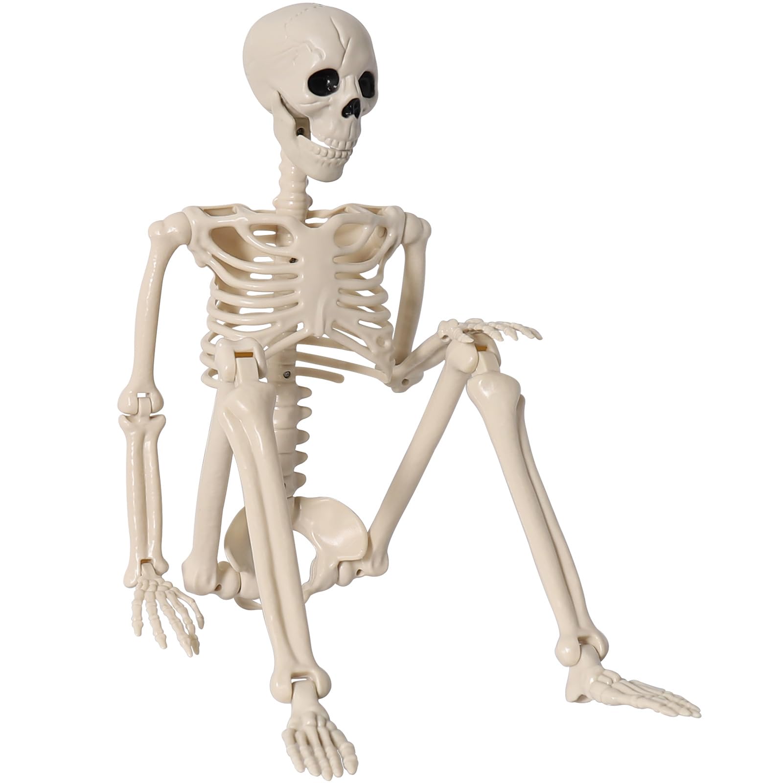 Photo 1 of 36" Skeleton Halloween Decor, 3FT Realistic Full Body Movable Posable Joints Skeleton, Creepy Halloween Plastic Human Bones for Party Decor Lawn Haunted House Graveyard Props Indoor Outdoor