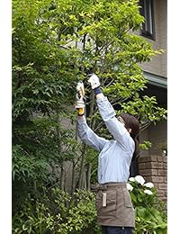 Ryobi recargable Tijeras de podar bsh 120 Importación JPN