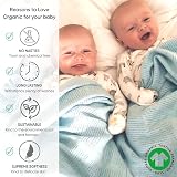 Bloomsbury Mill Cellular Baby Blankets 100% Organic Cotton Pack of 2 view 6