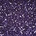 Rainbow Dust Edible Glitter - Purple - 5g