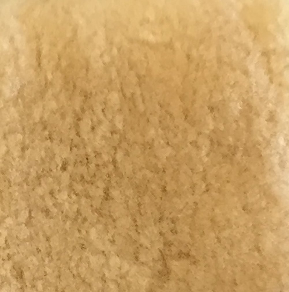 Best motorhome seat covers class c