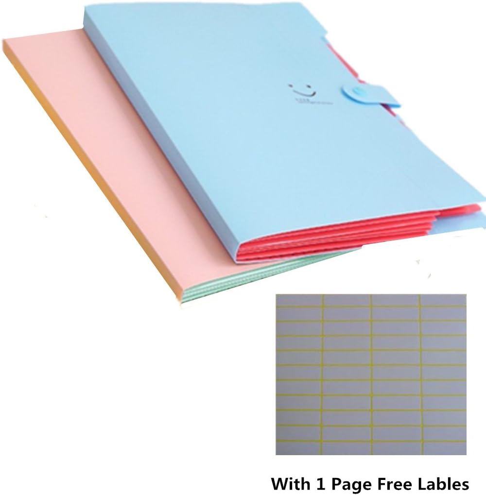 2 Pack Folder 5 Pockets Letter Size Poly Expanding File Organizer