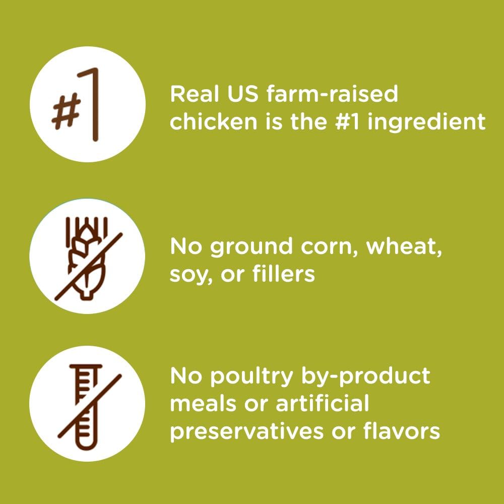 Rachael Ray Nutrish Premium Natural Dry Cat Food, Real Chicken & Brown Rice Recipe, 14 Pounds : Pet Supplies