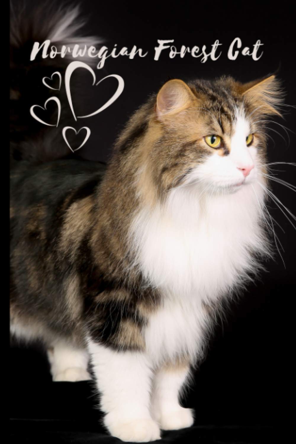 Norwegian Forest Cat Notebook For Cat Lovers: Composition Notebook 6x9" Blank Lined Journal