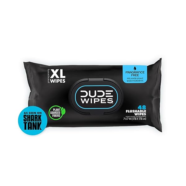 DUDE WIPES FLUSHABLE WET WIPES 48 COUNT DISPENSER, UNSCENTED WET WIPES WITH VITAMIN-E & ALOE, SEPTIC AND SEWER SAFE