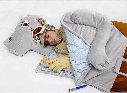 star wars sleeping bag