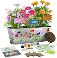 Paint & Plant Flower Growing Kit - Kids Gardening Science Gifts for Girls and Boys Ages 4 5 6 7 8 9 10 11 