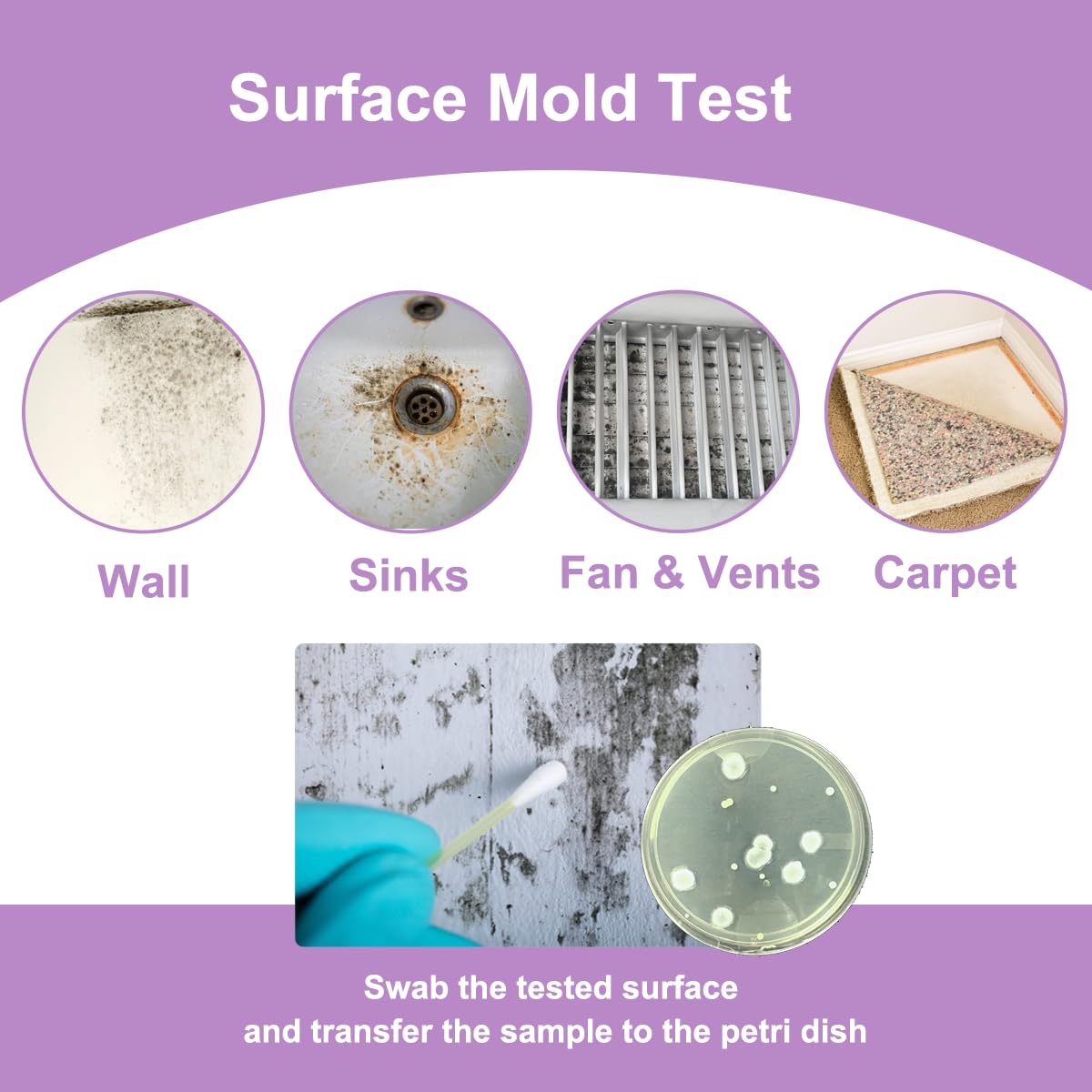 Mold Test Kit for Home,DIY Black Mold Detector for HVAC,Indoor Air Quality & House Surface Testing, Complete Tester Kits for Walls,Office,Classroom with Identification Guide & Lab Analysis(6 Pack)
