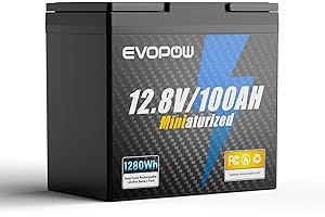 EVOPOW 12V 100Ah Mini LiFePO4 Lithium Battery, Built-in 100A BMS, Up to 15000 Cycles with 10-Year Lifespan, 1280Wh Energy LiFePO4 Battery in Small Size, Perfect for RV, Solar, Marine and Home Energy Storage