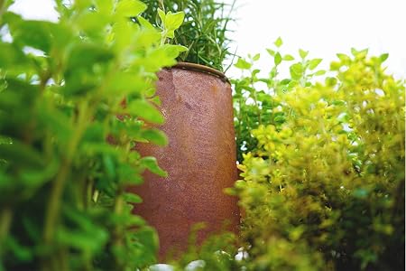 Novaliv – Espiral de Hierbas, óxido Natural, Caracol para Plantas ...