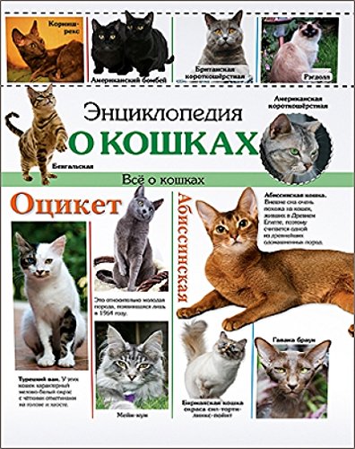 Книга проф-пресс энциклопедия о кошках (9785378188031)