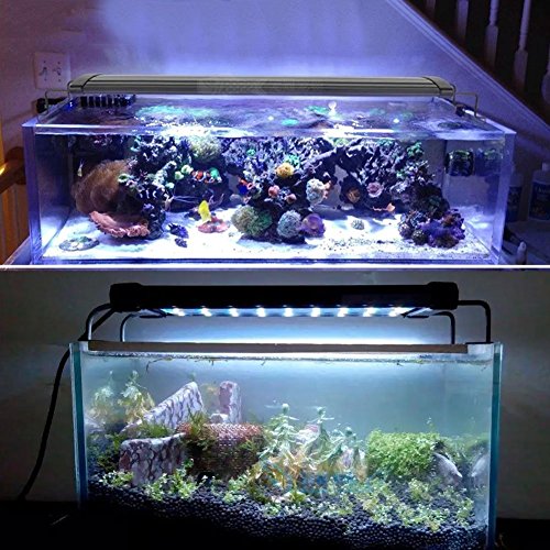 MingDak LED Aquarium Light Fixture for Fish Tank,Suitable for Saltwater and Freshwater,72 LEDs,20-inch,Lighting Color White and Blue