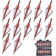 EOOENOON Archery 3 Blades Hunting Broadheads 100/125 Grains Screw-in Arrow Heads Arrow Tips Compatible with Crossbow and Compound Bow + 1 PK Broadhead Storage Case