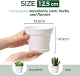 T4U 12.5cm Plastic Plant Pots 6-Pack with Saucer White Indoor Outdoor view 4