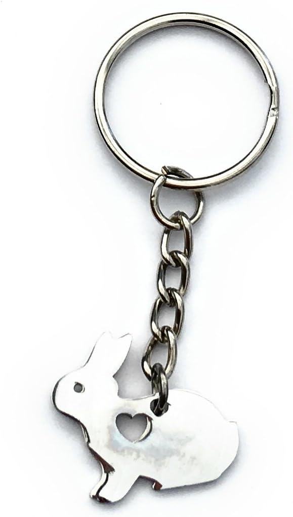 FizzyButton Gifts Bunny Rabbit Keyring Key Ring with Stainless Steel Silhouette Charm and Turquoise Gift Box