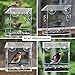 Kanaryware Window Bird Feeder - Built to Last A Lifetime - Decorate Your House with Beautiful Wild Birds - 100% Clear Acrylic - Drain Holes - Hooks & 2 Extra Suction Cups Included - Great Gift