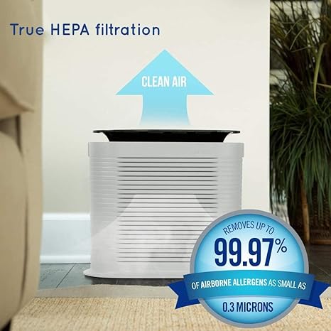 Homedics Luftreiniger Mit Echter Hepa Filterung Fur Kleine Raume Amazon De Kuche Haushalt