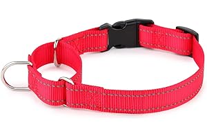 PLUTUS PET Reflective Martingale Collar with Quick Snap Buckle,No Pull Dog Choker Collar for Small Medium Large Dogs,L,Red