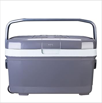 Amazon.es: T-Day Neveras de viaje Refrigerador del coche 45L, mini ...