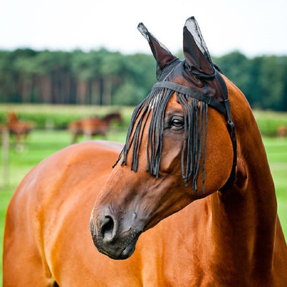 Cayman Supreme Horze Fringe Mesh Fly Bonnet/Veil with Ears. No Halter Needed! (Horse)