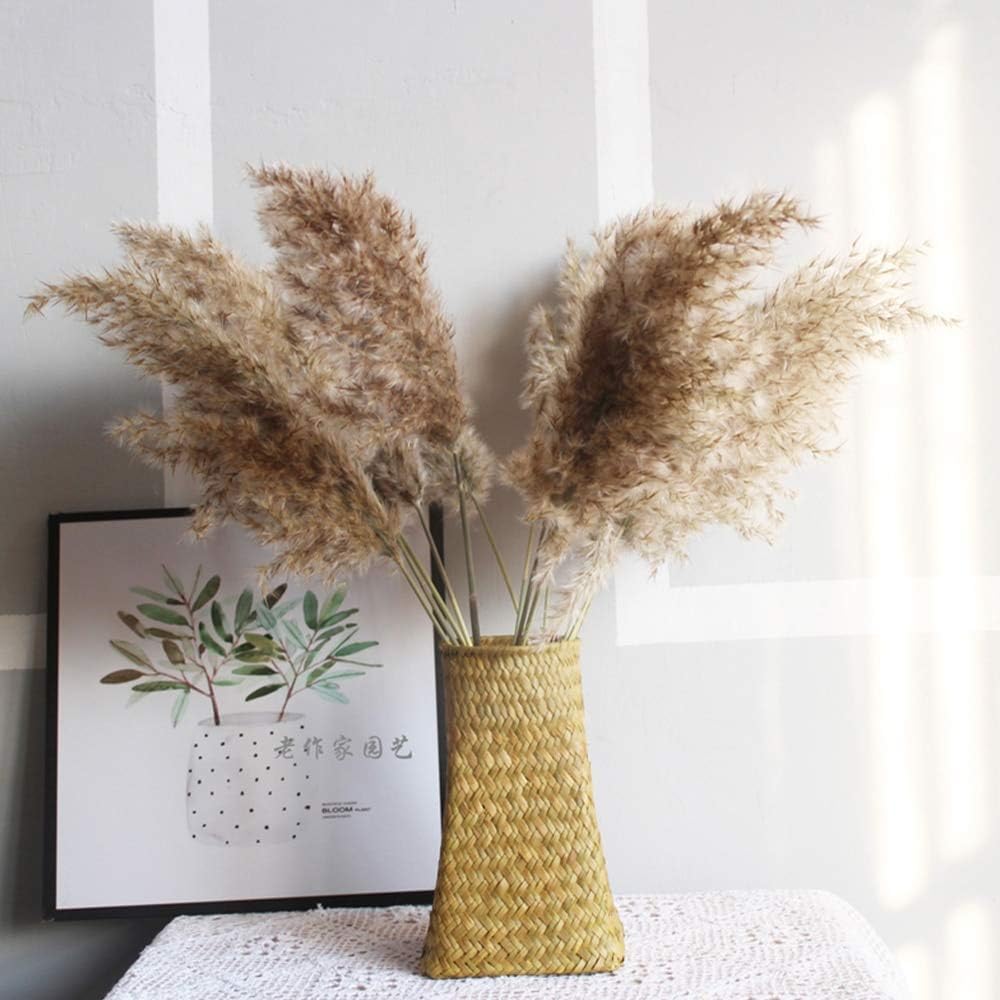 wwwl Fake Flower Dried Plants Pampas Grass Natural Phragmites Communis Raw Color Wedding Flower Bunch 56-60cm Tall 20pcs