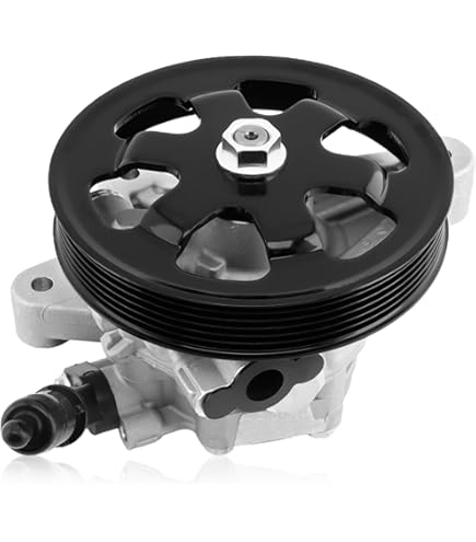 Amazon.com: Lirufeng Power Steering Pump 8970639690