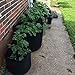 Fasunry Grow Bags 5 Gallon/7 Gallon/10 Gallon, 6 Pack Durable Fabric Planting Pots with Strap Handles, Perfect for Vegetables and Fruits