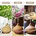 300ml Essential Oil Diffuser Wood Grain with Skid Resistance and Noise Reduction Design InnooCare Cool Mist Humidifiers Ultrasonic, Aroma Diffuser for Office Home Living Room Bedroom Yoga SPA