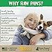 Raw Paws Omega 3 Chews for Dogs, 5-oz/50-ct - USA Made - Coconut & Salmon Dog Treats, Soft Skin Chews - Itchy, Dry Skin Dog Treats Help Support a Healthy Dog Coat - Skin and Coat Supplement for Dogs