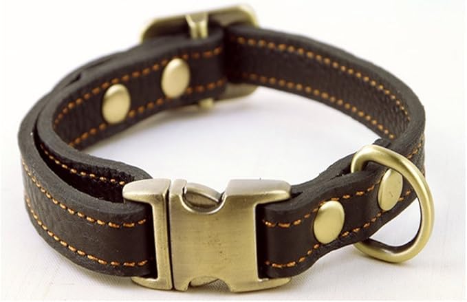 large cat collar