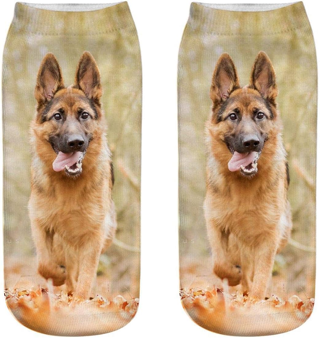 german shepherd with clothes