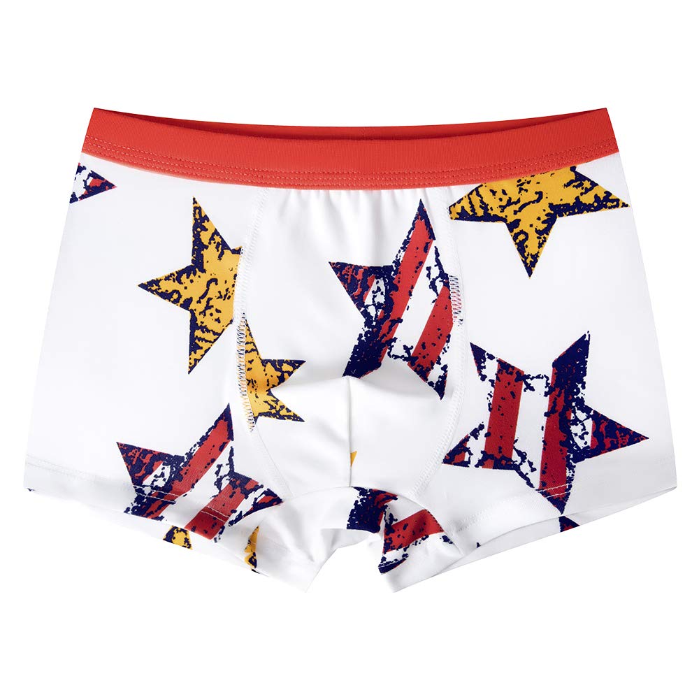 slaixiu Soft Cotton Kids Boxer Briefs Cartoon Boys Underwear Boxers 4-Pack (UW75-N3338-150)