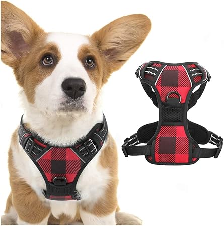 small dog chest harness