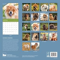 July 2025- December 2026 Wall Calendar 18 Month