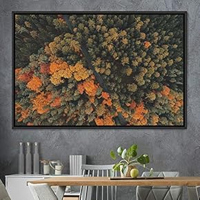 signwin Framed Canvas Wall Art Greenlands Aerial Dark...