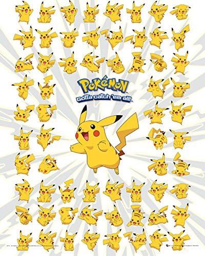 Pokemon Show