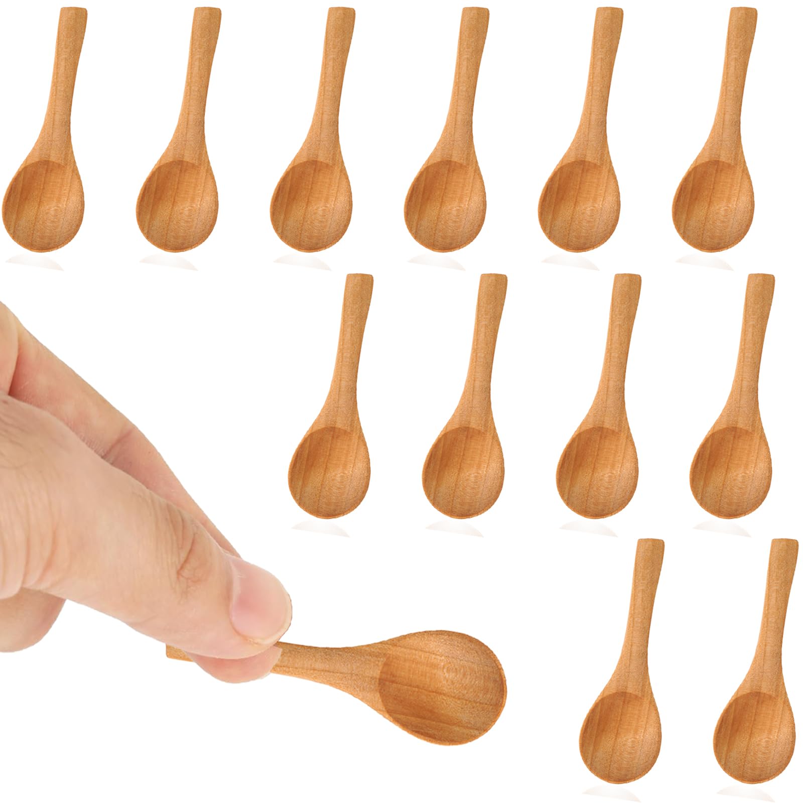 12PCS Wooden Spoons - Small Teaspoons, Honey & Spice Spoons