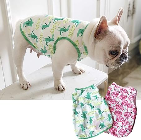 cute clothes for french bulldogs