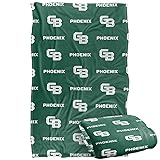 University of Wisconsin-Green Bay Phoenix
