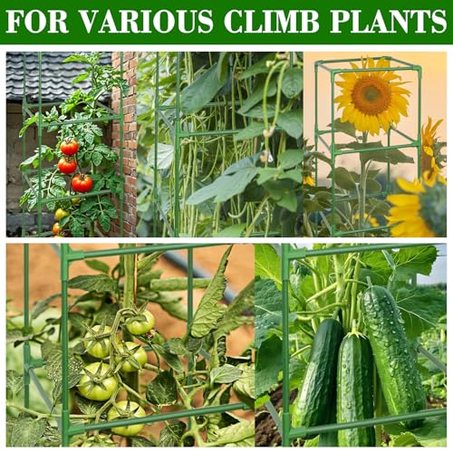 ZeeDix 4 Pack Tomato Cages for Garden 60 Inches, Heavy Duty Square Adjustable Tomato Trellis Cage Climbing Plant Support Trellis Plant Cages for Climbing Vegetables Flowers with 40Pcs Clips